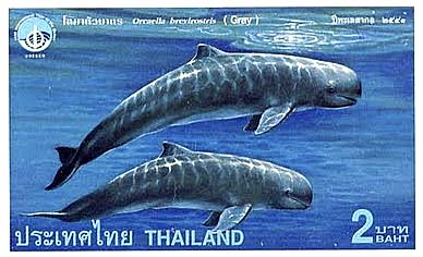 Thai Stamp of an Irrawaddy Dolphin