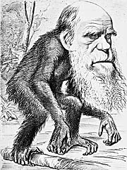 Charles Darwin as an Ape, 1871