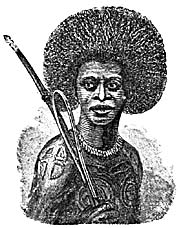 Papua Warrior
