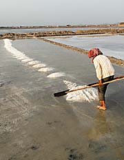 Salt arranged in small heaps for Transport by Asienreisender