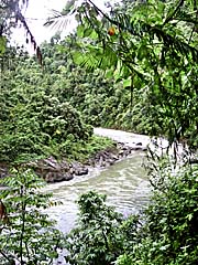 'The Jungle River Bohorok above Bukit Lawang' by Asienreisender