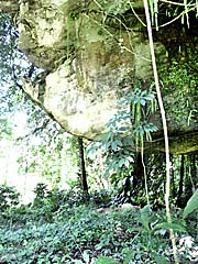 'Entrance to a Jungle Cave out of Bukit Lawang' by Asienreisender