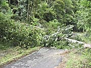'Blocked Road on the Way up to Mount Sibayak' by Asienreisender