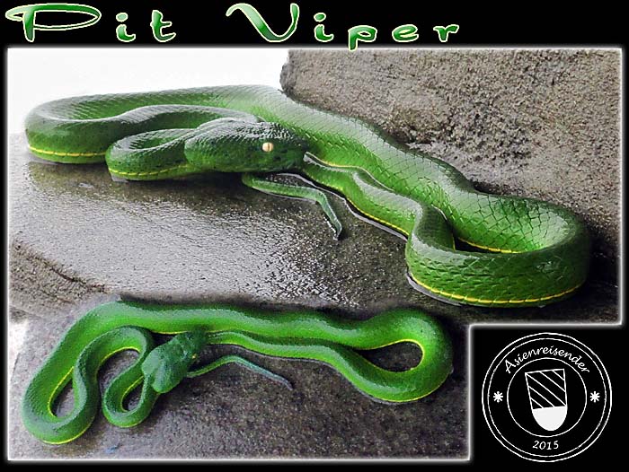 'White-Lipped Pit Viper' by Asienreisender