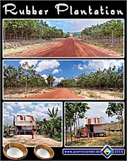 'Rubber Plantation in Sihanoukville' by Asienreisender