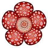 'Rafflesia arnoldii' by Asienreisender