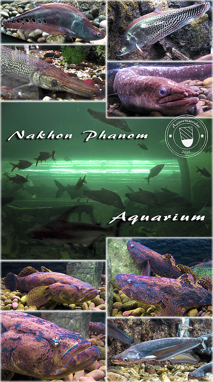 'Nakhon Phanom Aquarium' by Asienreisender