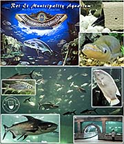 Thumbnail 'Roi Et's Municipal Aquarium' by Asienreisender