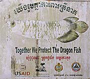 'Dragonfish' by Asienreisender