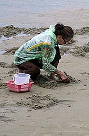 'Thai Woman gathering Shells' by Asienreisender