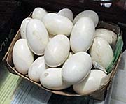 'Crocodile Eggs' by Asienreisender
