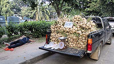 'A Vegetable Salesman' by Asienreisender