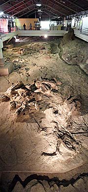 'The Dinosaur Excavation Site' by Asienreisender
