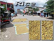 'Rice Corns, Drying on the Street' by Asienreisender