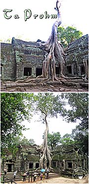 'Ta Prohm | Angkor Archaeological Park' by Asienreisender