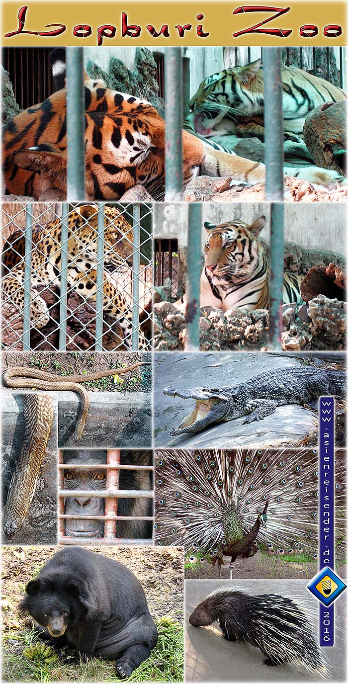 'Animals of Lopburi Zoo' by Asienreisender