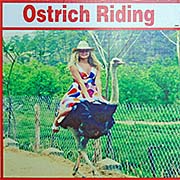 'Riding an Ostrich' by Asienreisender