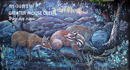 'Painting of Greater Mouse Deers | Dusit Zoo | Bangkok' by Asienreisender