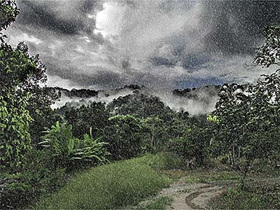 'Monsoonal Rain in Khao Khitchakut National Park | Chantaburi' by Asienreisender