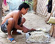 'A Village Man, Chopping a Banana Stem in Ban Nai Soi' by Asienreisender